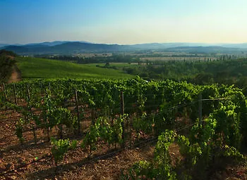 Tenuta Casteani Ribolla